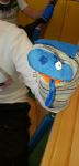 img-20211001-wa0007