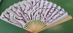 img-20240517-wa0008