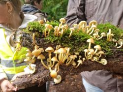 Whatsapp Bild 2025 10 10 Um 14.18.37 C6dfdbb4